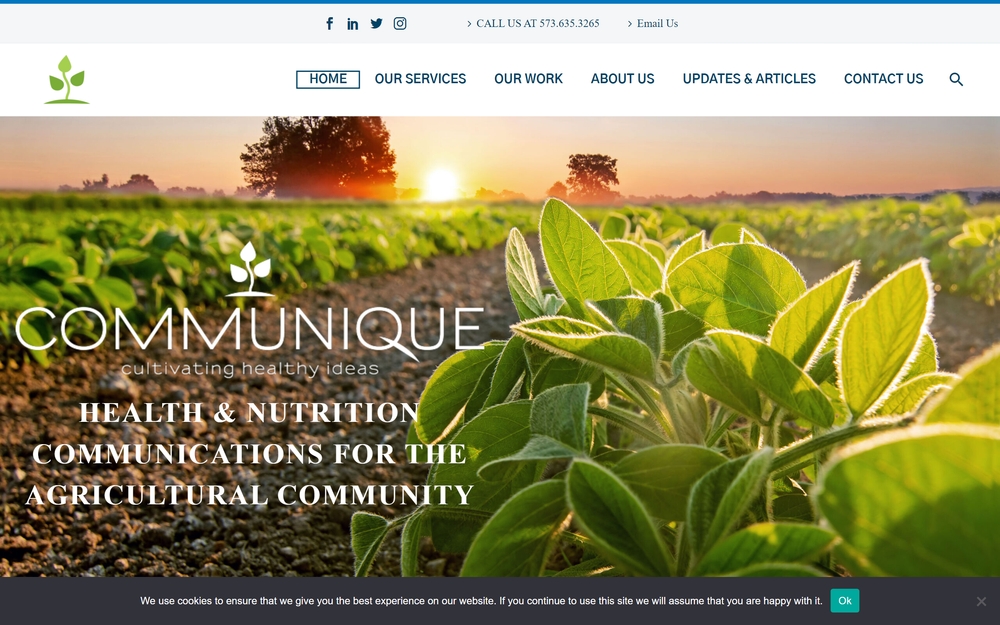 img of B2B Digital Marketing Agency - Communique, Inc.